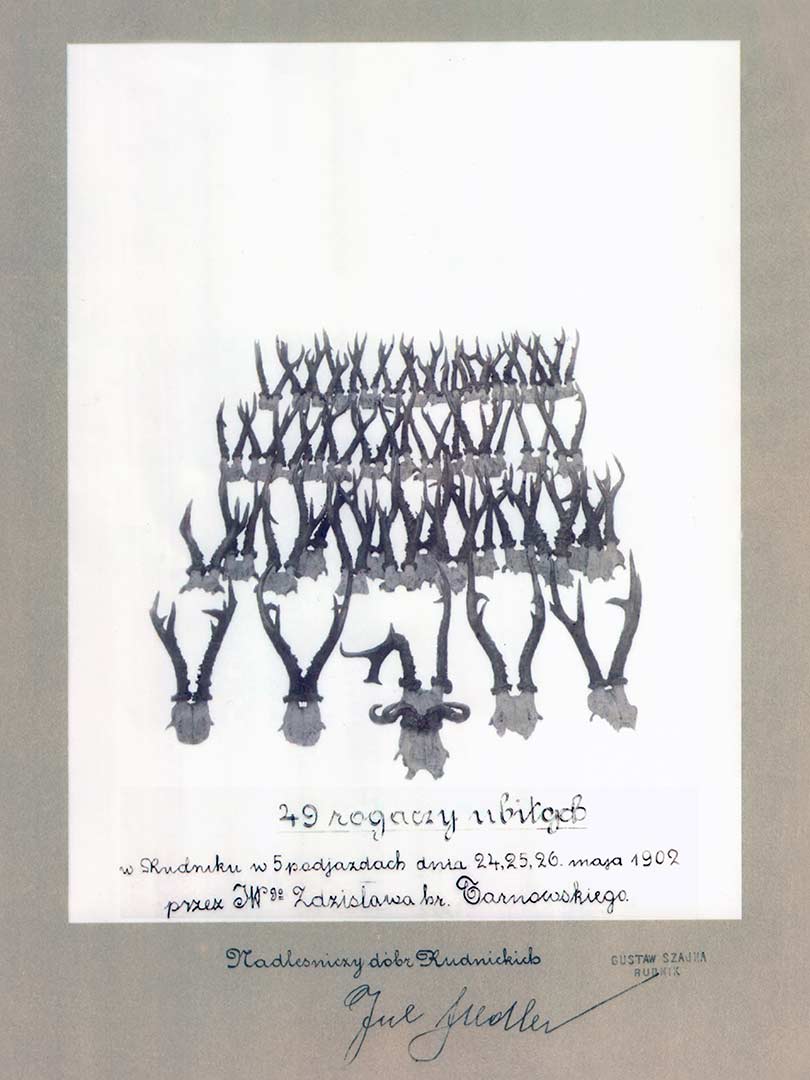 sl Wojtkuszki 2